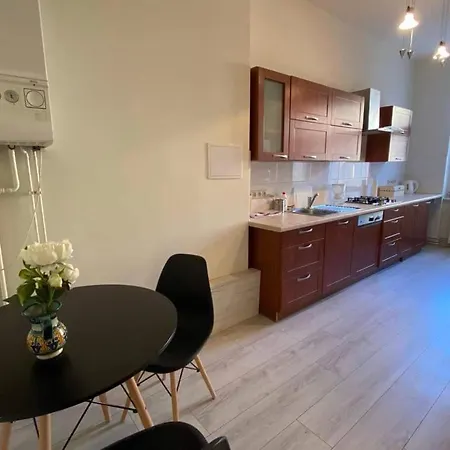 アパート Cozy And Renovated In The Heart Of The シュチェチン